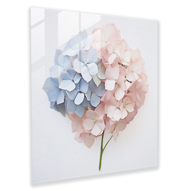 Contemporary Hydrangea Glass Print - Hydrangea, Modern Art, Contemporary Photography, Glass Wall Art