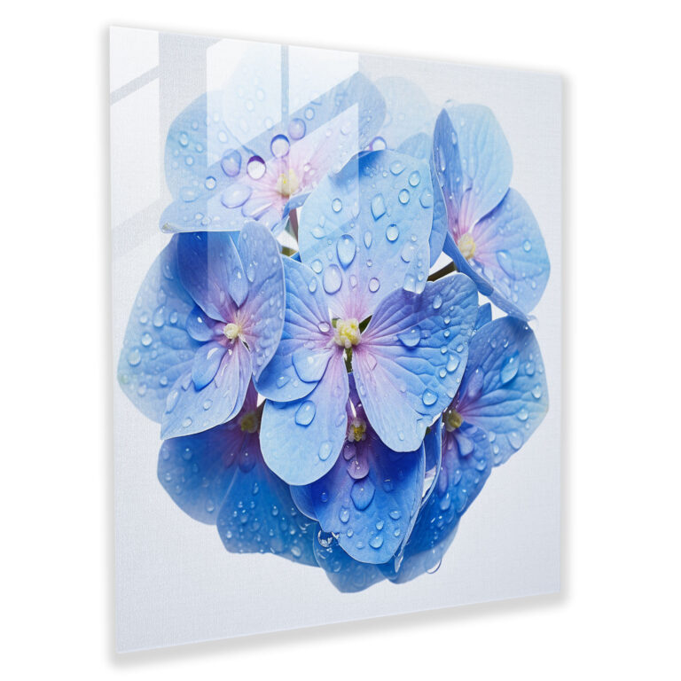 Hydrangea Glass Wall Art - Blossom Close-Up - Hydrangea, Hydrangea, Close-Up, Wall Decoration