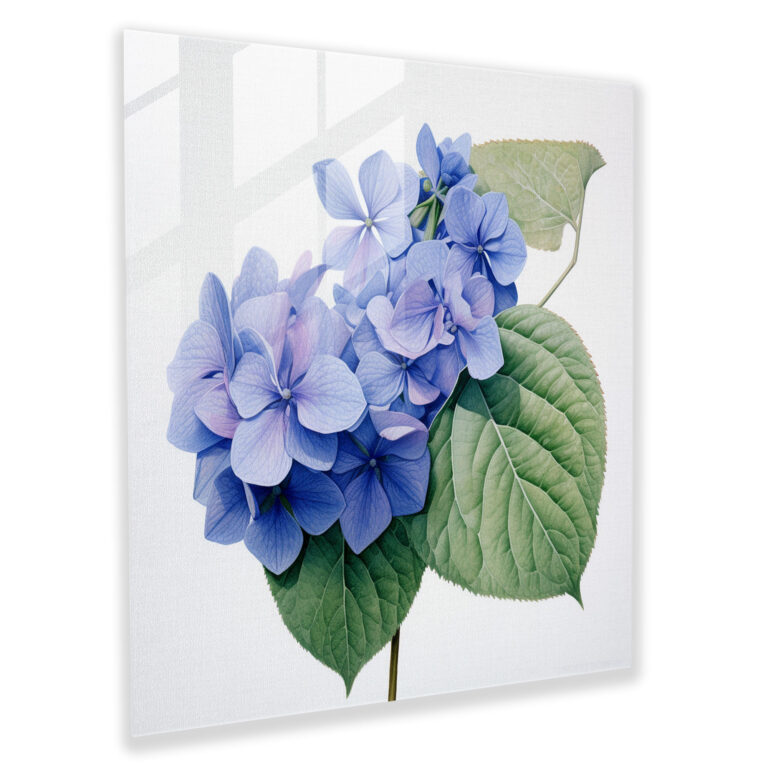 Botanical Hydrangea Glass Print - Hydrangea, Hydrangea, Petals And Leaves, Realistic Botanical Illustration