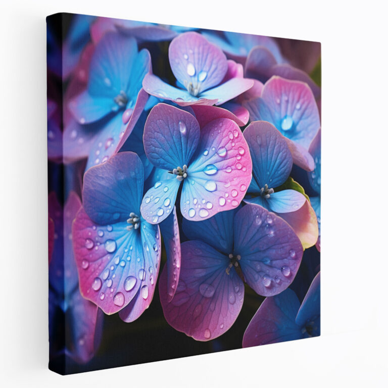 Hydrangea Blossoms Canvas Print - Hydrangea, Home Decoration, Wall Art, Photograph