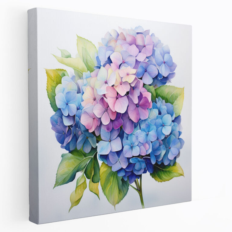Hydrangea Watercolor Canvas Print - Hydrangea, Hydrangea, Canvas Print, Pink