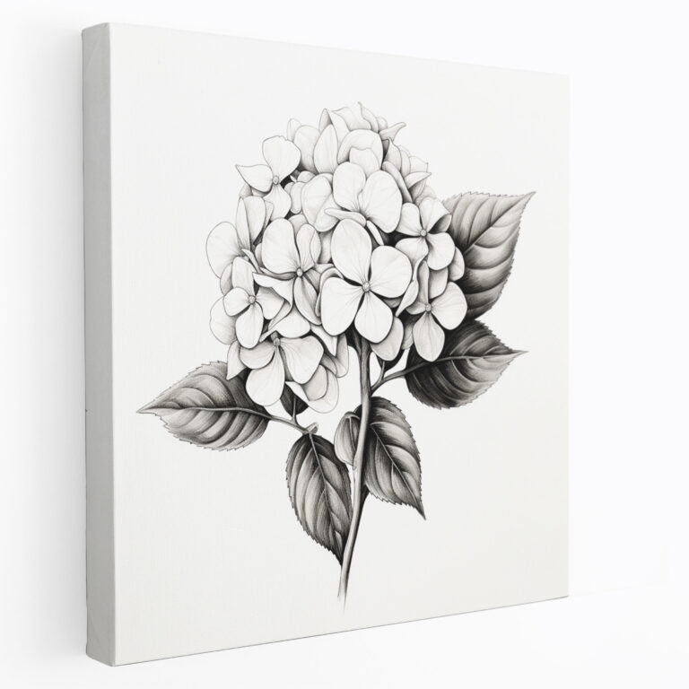 Hydrangea Sketch Canvas Print - Hydrangea, Home Decoration, Black And White Sketch, Wall Art