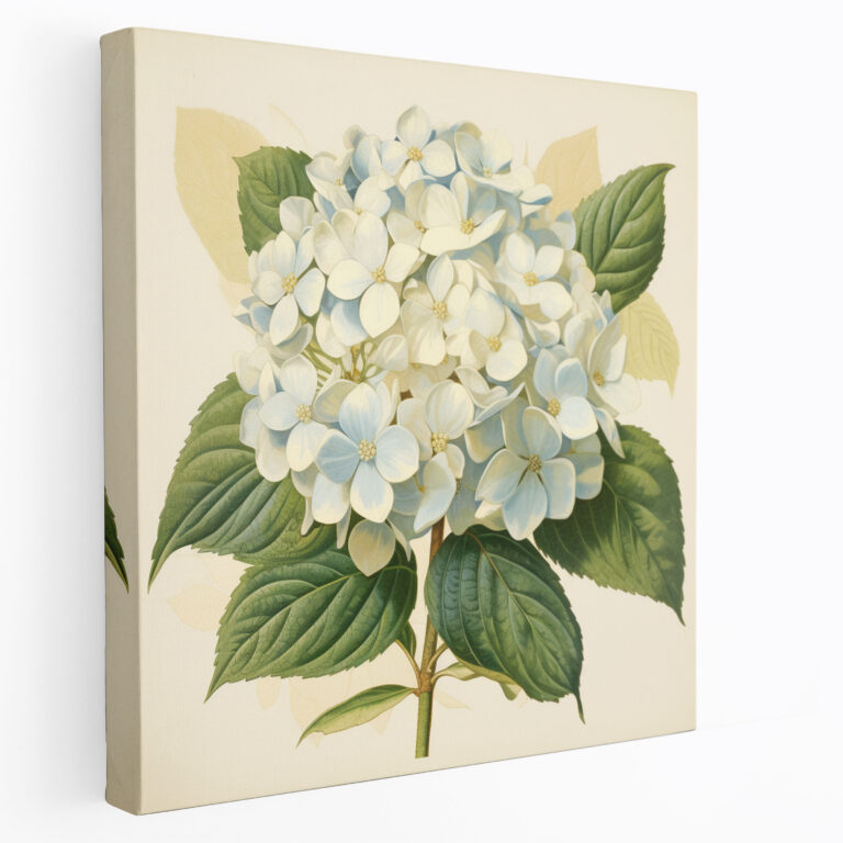Hydrangea Vintage Poster - Hydrangea, Hydrangea, Vintage Poster, Canvas Print