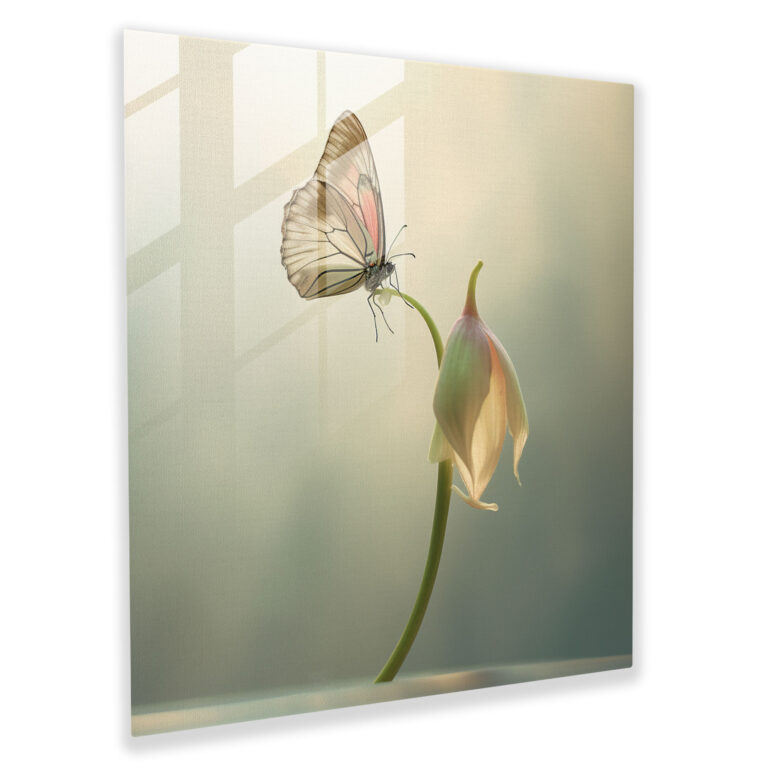 Kiss Of Nature Glass Print - Kiss, Glass Print, Nature-Inspired, Kiss