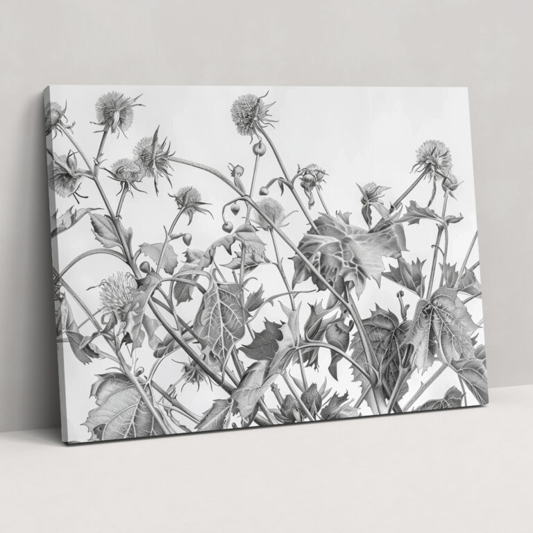 Botanical Wall Art - Leonardo Da Vinci, Home Decoration, Wall Decoration, Canvas
