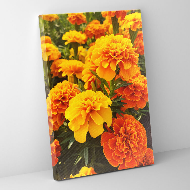 Marigold Canvas Print - Los Muertos, Home Decoration, Vibrant Marigold Flowers, Los Muertos