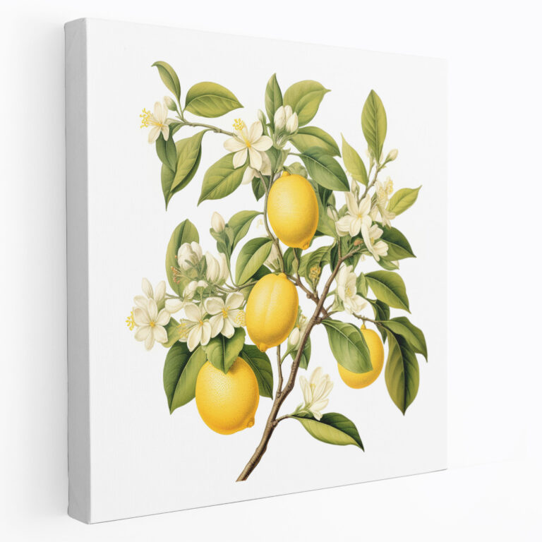 Vintage Lemon Tree Canvas Print - Lemon Tree, Wall Art, Lemon Tree, Nostalgic Charm