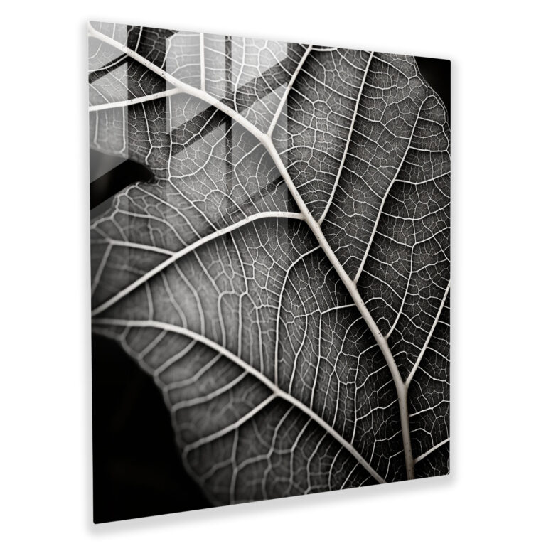 Vein Harmony Glass Print - Leaves, Black And White Filter, Glass Wall Art, Wall Decoration
