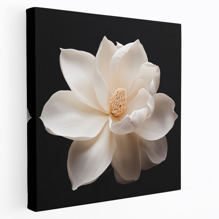Magnolia Wall Decoration - Magnolia, Canvas, White And Cream, Premium Canvas