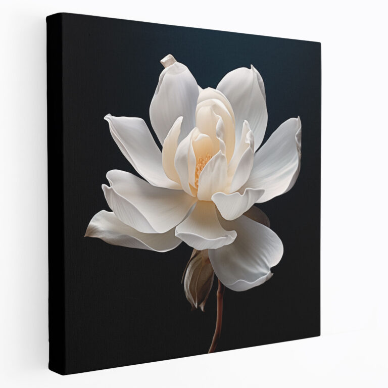 Magnolia Wall Art: Realistic Photograph - Magnolia, Canvas, Magnolia, Canvas Print