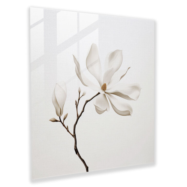 Magnolia Glass Print - Minimalist Floral Wall Decor - Magnolia, Home Decoration, Glass Wall Art, Blossom
