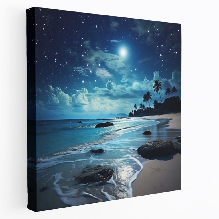 Midnight Beach Canvas Print - Midnight, Starry Sky, Canvas, Midnight