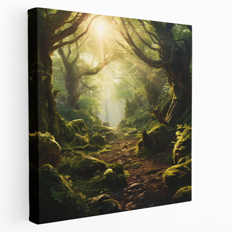 Dreamy Moss Canvas Print - Moss, Mossy Forest, Wall Decoration, Canvas Print
