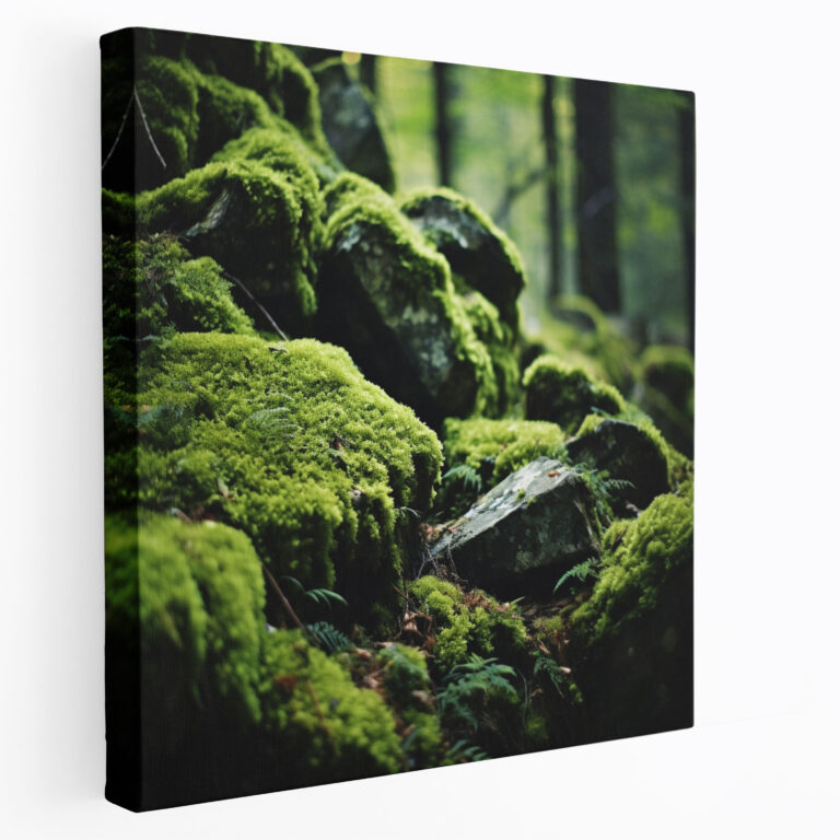 Moss Canvas Print - Vintage Forest Rocks Wall Art - Moss, Vintage-Inspired Photograph, Home Decoration, Moss Canvas Print