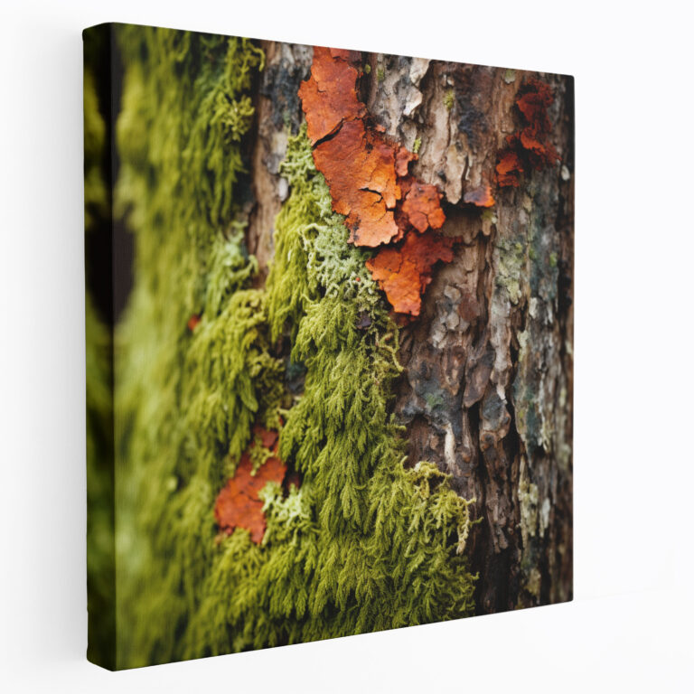 Moss Patterns Wall Art - Moss, Wall Decoration, Canvas Print, Nature Patterns