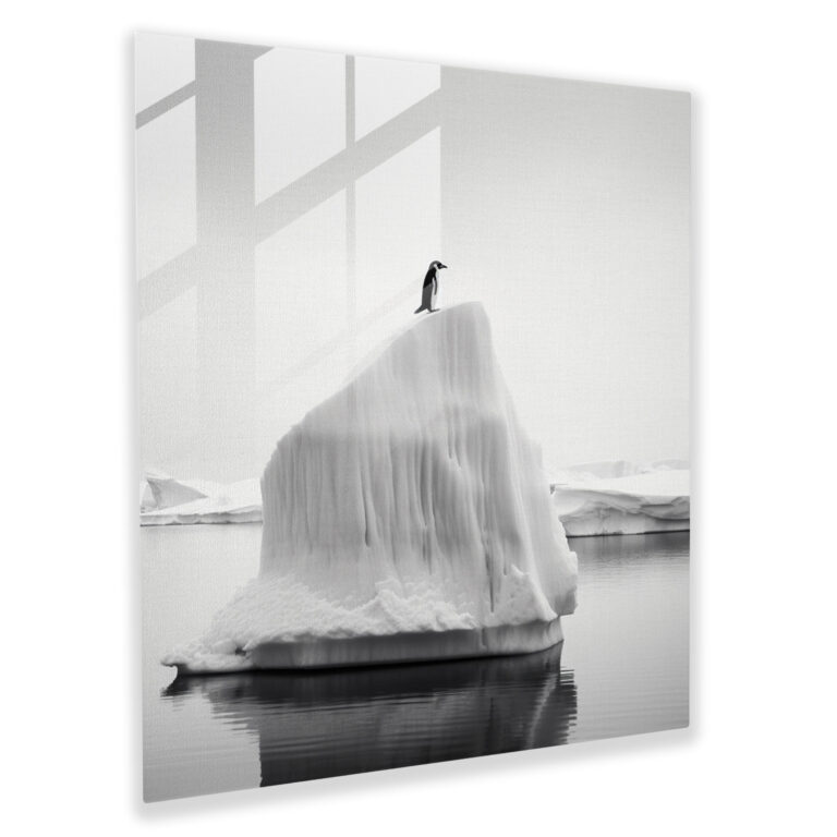 Penguin Glass Print - Minimalist Black And White Photography, Wall Decoration - Penguin, Home Decoration, Penguin, Lone Penguin