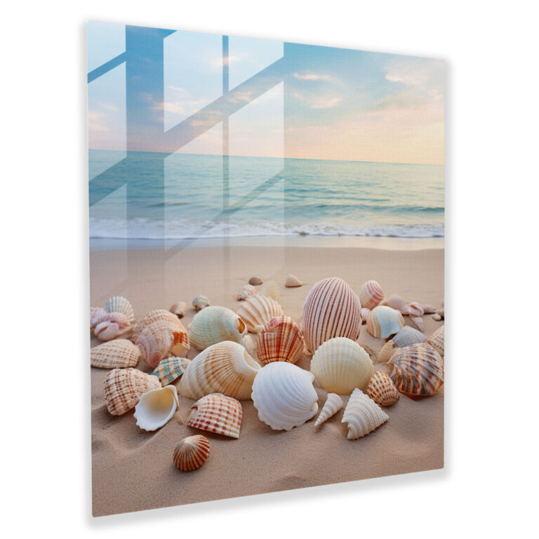 Still Life Glass Print - Seashell Collection - Still Life, Home Decoration, Sandy Beach, Still Life