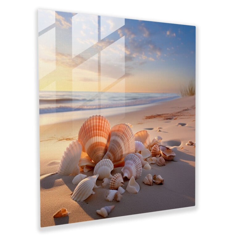 Still Life Glass Print - Serene Seashell Arrangement - Still Life, Home Decoration, Modern Art, Wall Decoration