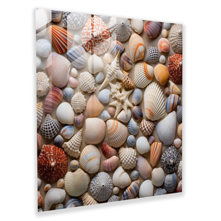 Still Life Glass Print - Coastal Seashells - Still Life, Home Decoration, Coastal, Wall Decoration