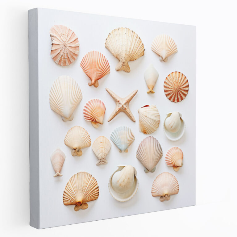 Still Life Canvas Print - Minimalistic Seashell Collection Wall Art - Still Life, Canvas Wall Art, Wall Decoration, Minimalistic Photograph