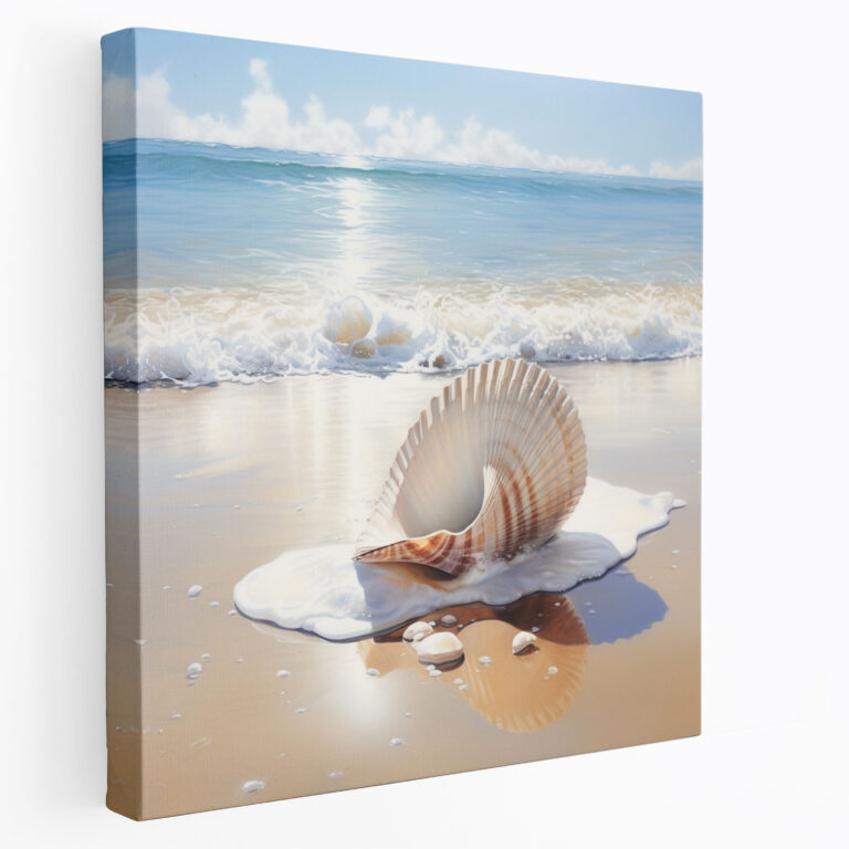 Still Life Canvas Print - Coastal Seashell - Still Life, Coastal Seashell, Wall Decoration, Canvas Wall Art