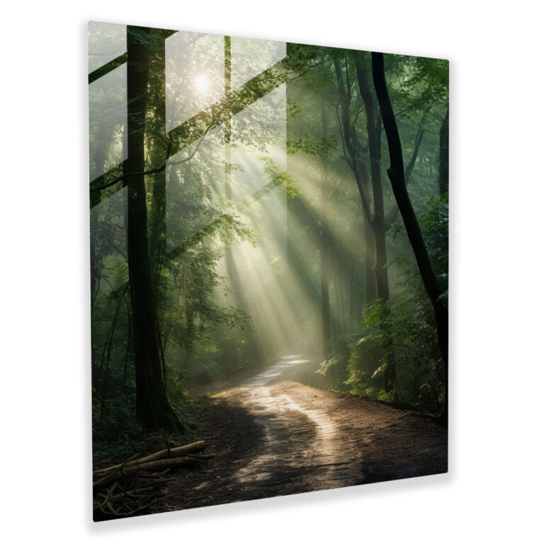 The Most Beautiful Landscapes Of The World - Contemporary Forest Glass Print - The Most Beautiful Landscapes Of The World, Lush Green Forest, Home Decoration, Glass Art