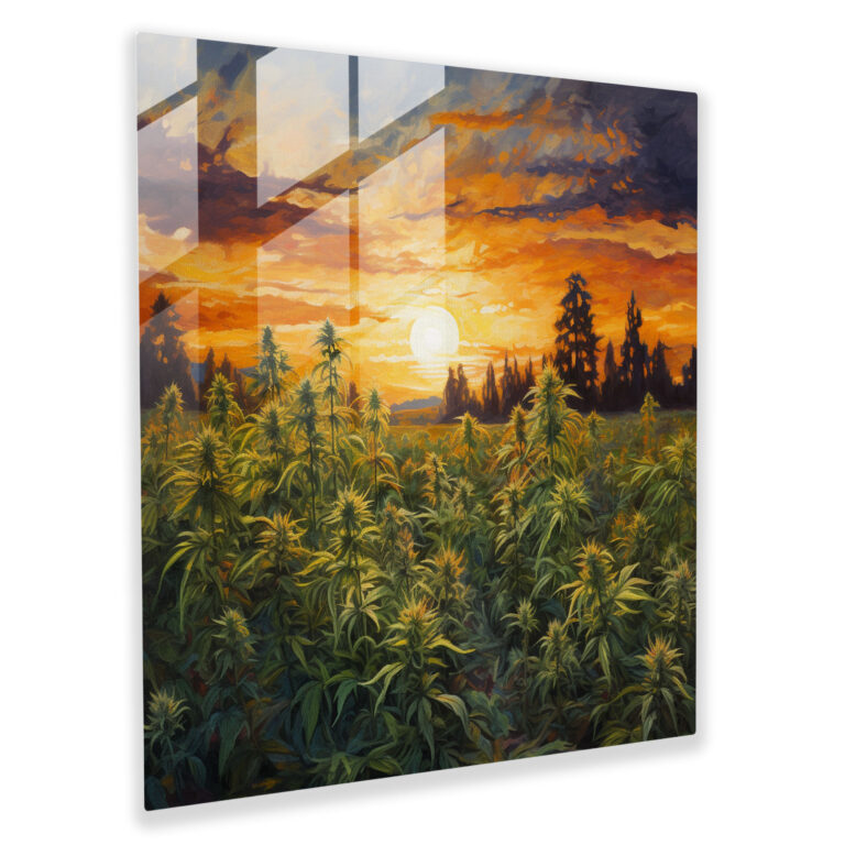 Golden Fields Of Weed Glass Print - Weed, Glass Art, Home Decoration, Marijuana Plants