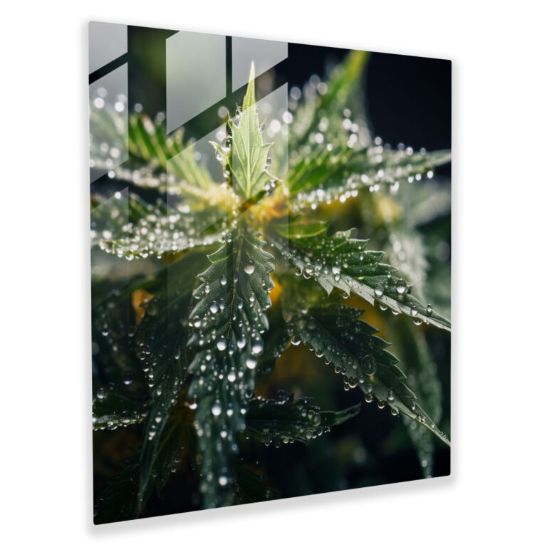 Glistening Weed Glass Print - Weed, Glass Art, Glass Wall Art, Wall Decoration