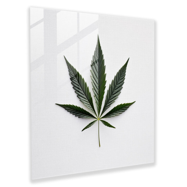Minimalist Weed Leaf Glass Print - Weed, Glass Print, Glass Wall Art, Home Decoration