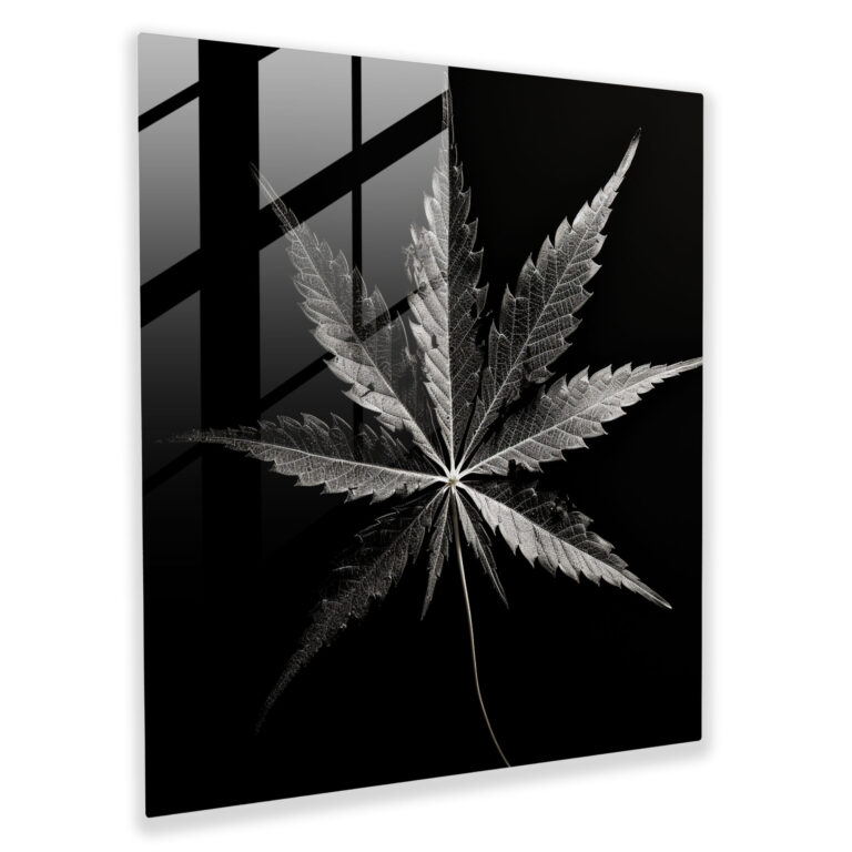 Elegant Leaf Reflection Glass Print - Weed, Black And White, Glass Print, Glass Wall Art