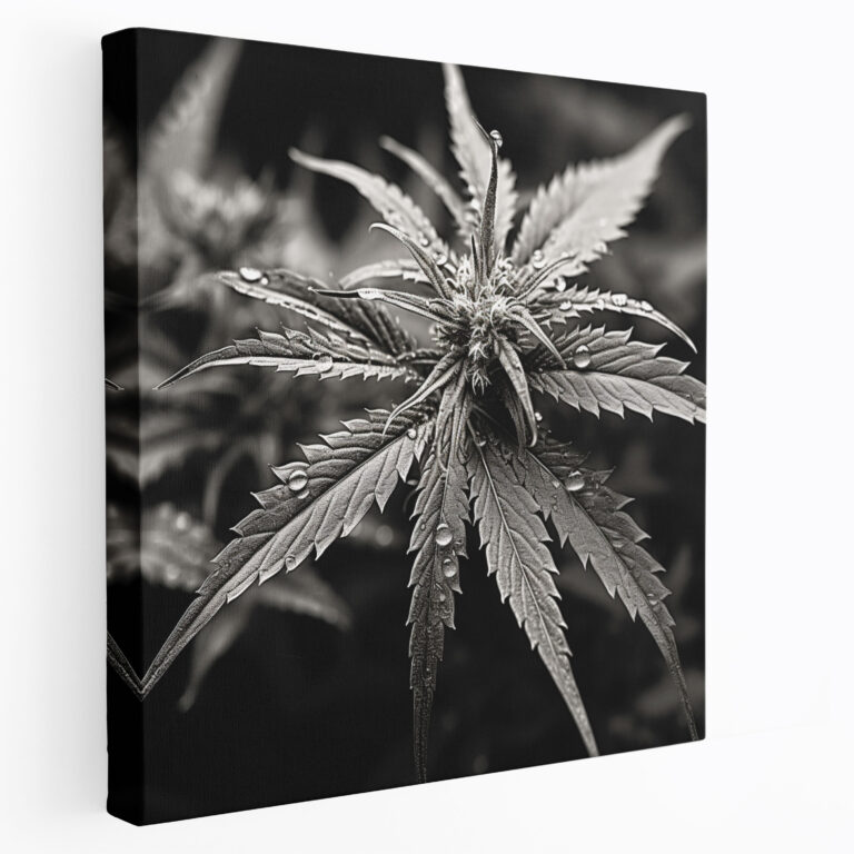 Weed Botanical Canvas Print - Weed, Black And White, Canvas Print, Wall Art