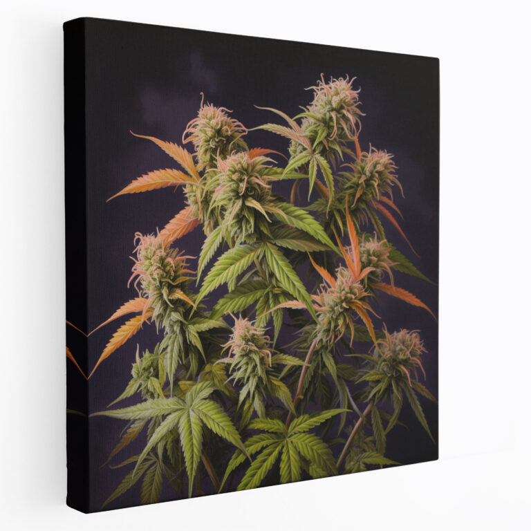 Photorealistic Weed Canvas Print - Weed, Wall Art, Canvas Print, Stages Of Growth
