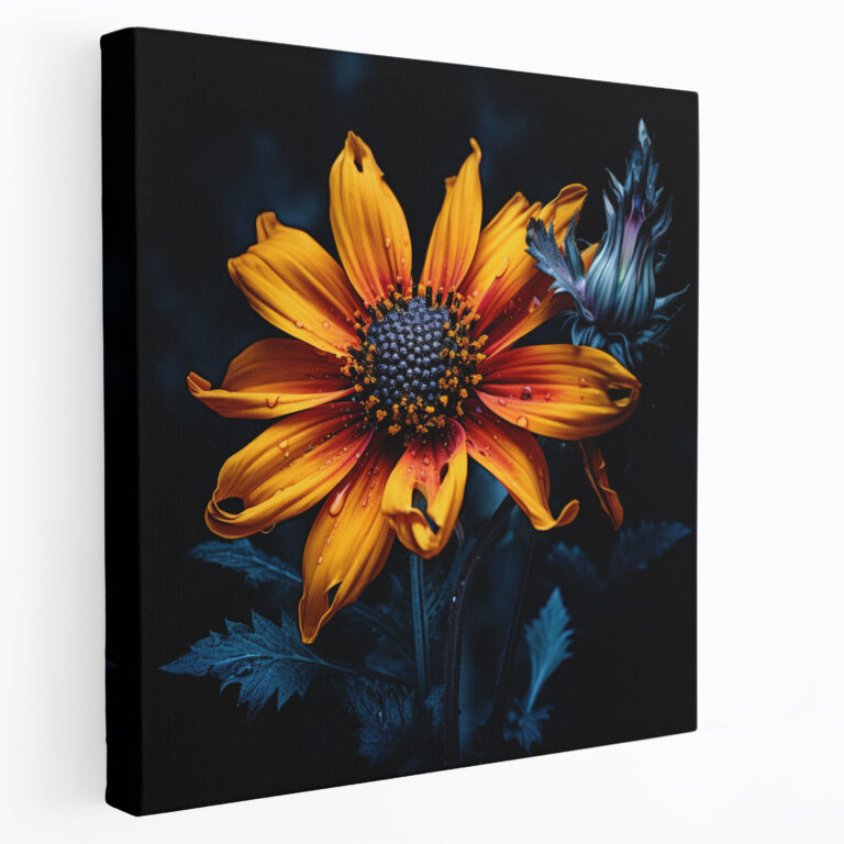Wildflower Wall Decoration - Vibrant Contrast - Wildflower, High Contrast Photograph, Home Decoration, Wildflower