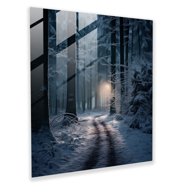 Moonlit Forest Glass Print - Winter, Snowy Forest, Moonlight, Home Decoration