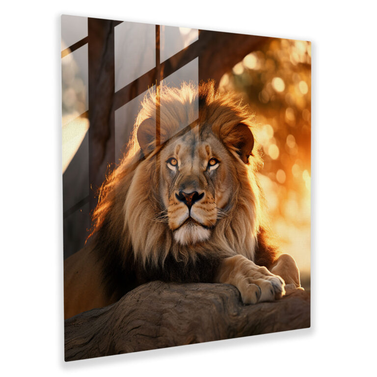 Wildlife Glass Wall Art - Wildlife, Glass Print, Golden Sunset, Wildlife Sanctuary