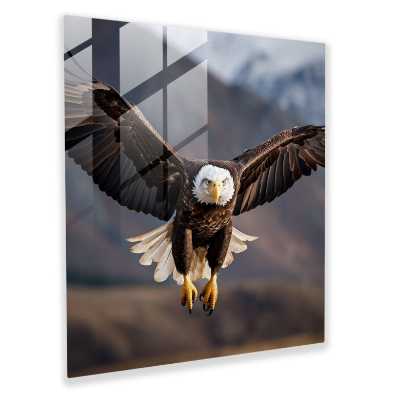 Wildlife Glass Print - Majestic Bald Eagle - Wildlife, Power, Home Decoration, Photography