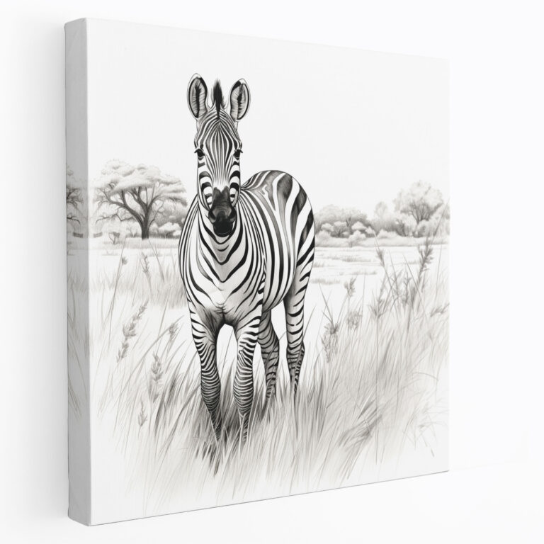 Zebra Canvas Print - Standing Zebra - Zebra, Line Drawing, Canvas Print, Canvas