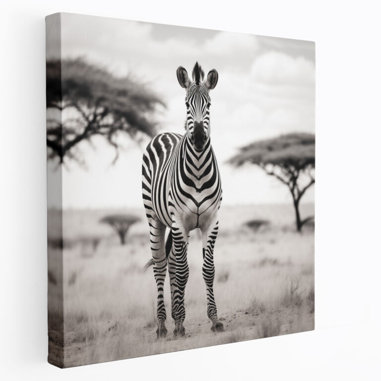 Zebra Canvas Print - Black And White Wall Art - Zebra, Wall Decoration, Canvas, Canvas Wall Art