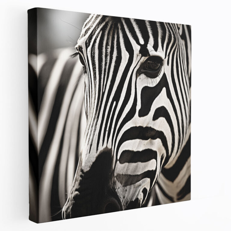 Zebra Wall Art - Close-Up Black And White Canvas Print - Zebra, Black And White, Canvas, Zebra