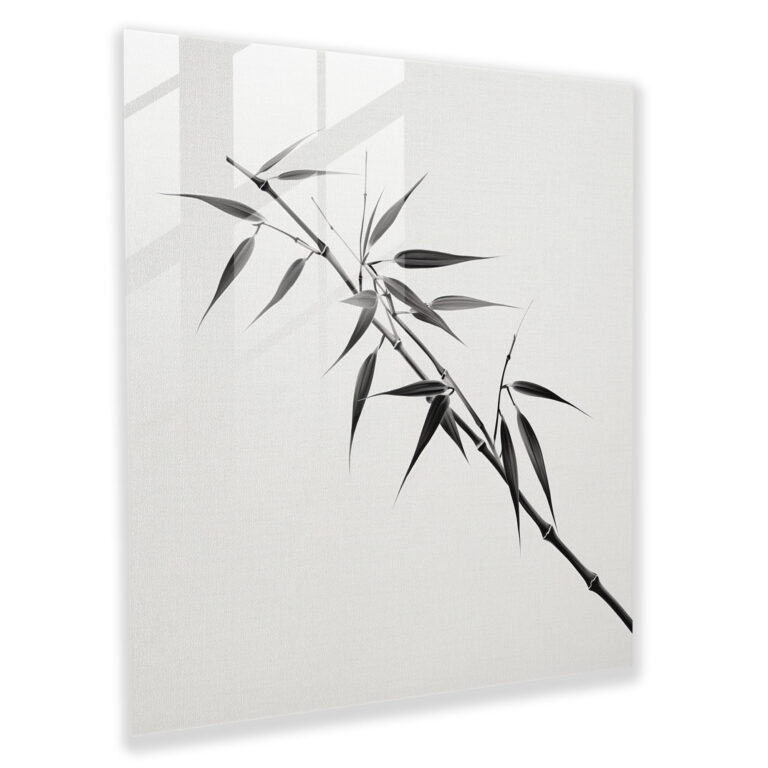 Zen Glass Print - Minimalist Bamboo Branch - Zen, Wall Decoration, Zen, Glass Art