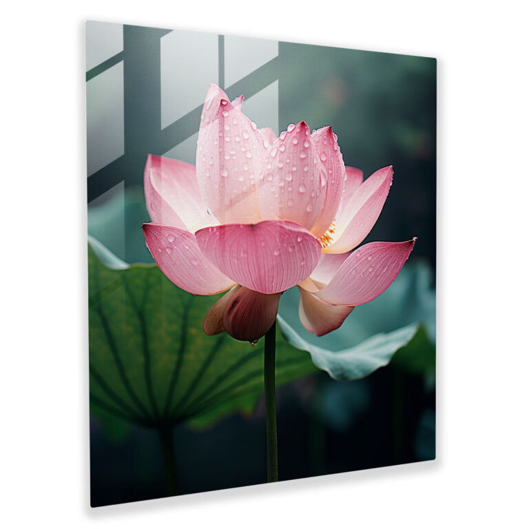 Zen Glass Print - Blooming Lotus - Zen, Glass Art, Enlightenment, Home Decoration